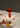 slider_portable_bellhop_02