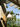 wall__blog_captainflint
