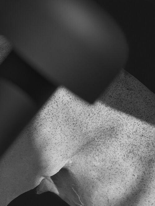 2I3A7707