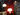 IMMAGINE_COVER_LANDING