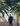 stories-michael-anastassiades-flos-05