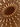 Skynest_almond-finish_FLOS